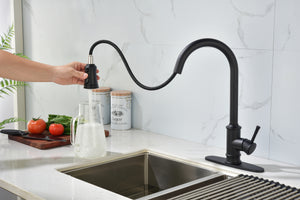 Single Handle High Arc Brushed Nickel Pull Out Kitchen Faucet Matte Black