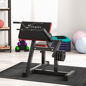 2-in-1 Bicep Curl & Tricep Extension Bench for Home Gym