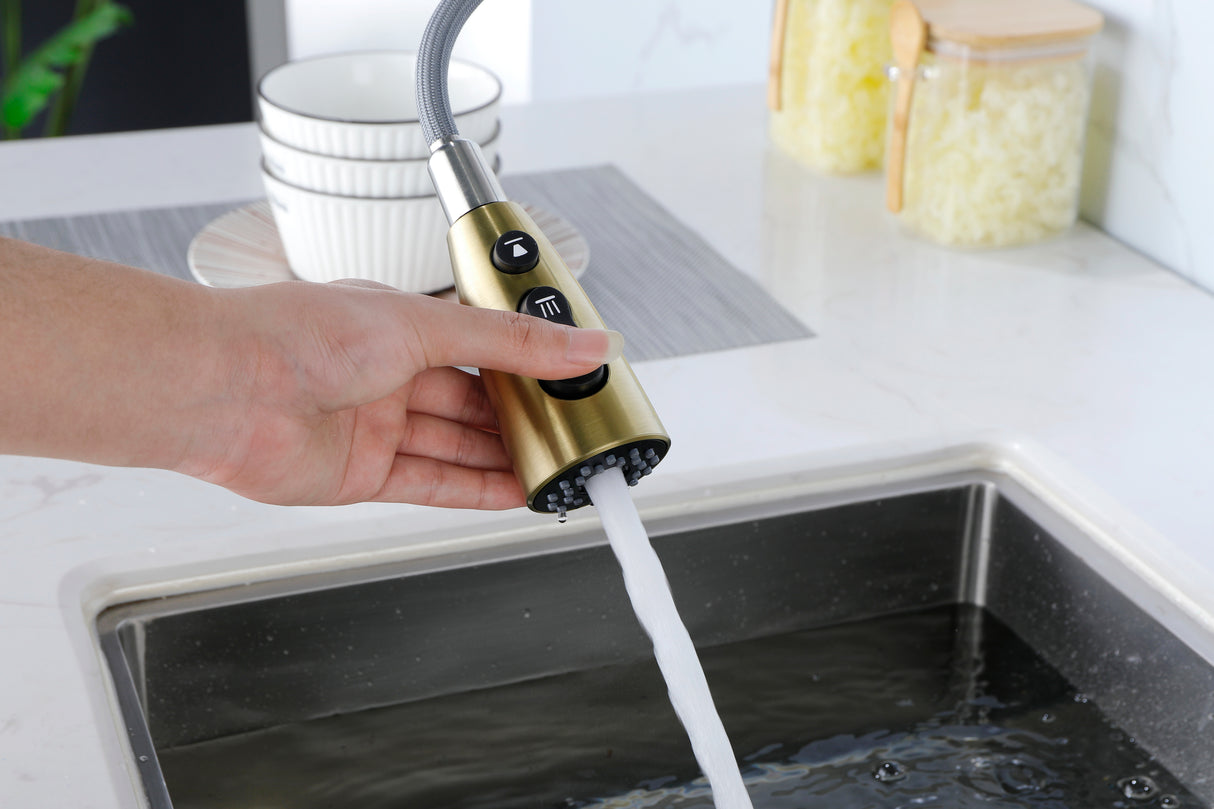 Gold Kitchen Faucets with Pull Down Sprayer