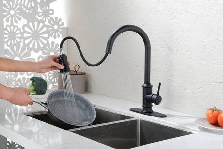 Single Handle High Arc Brushed Nickel Pull Out Kitchen Faucet Matte Black