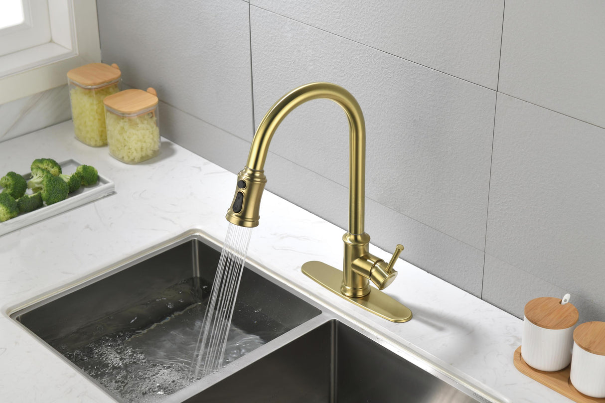 Single Handle High Arc Pull Out Kitchen Faucet Brushed Gold