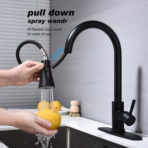 Kitchen Faucet with Pull Out Sprayer-Matte Black