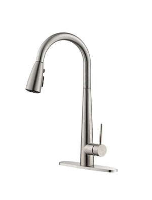 Kitchen Faucet with Pull Down Sprayer Brushed Nickel