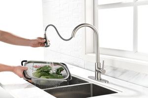 Single Handle High Arc Brushed Nickel Pull Out Kitchen Faucet