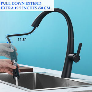 Stainless Steel Pull Out Kitchen Faucet