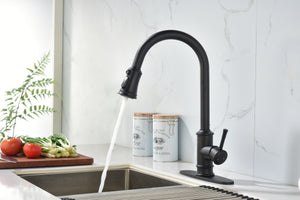 Single Handle High Arc Brushed Nickel Pull Out Kitchen Faucet Matte Black