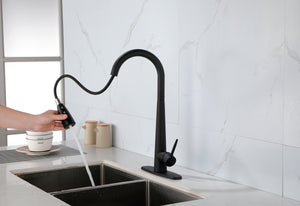 Matte Black Kitchen Faucets with Pull Down Sprayer