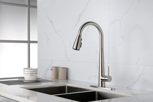 Kitchen Faucet with Pull Down Sprayer Brushed Nickel