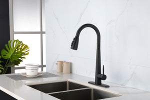 Matte Black Kitchen Faucets with Pull Down Sprayer