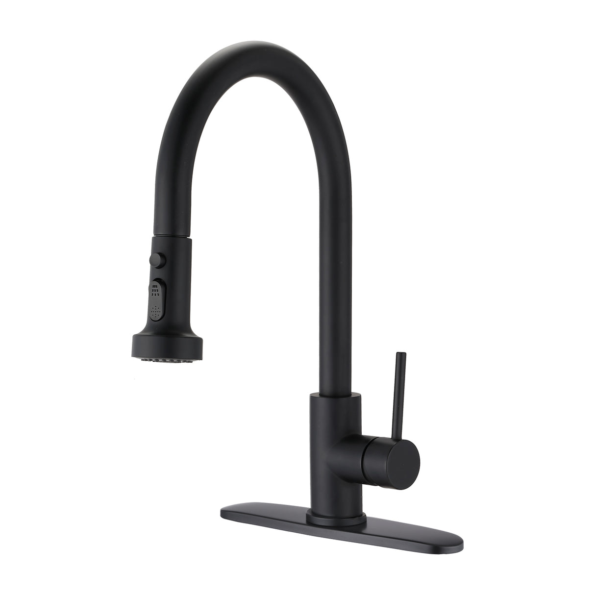 Stainless Steel Pull Down Kitchen Faucet with Sprayer Matte Black