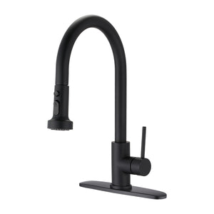 Stainless Steel Pull Down Kitchen Faucet with Sprayer Matte Black