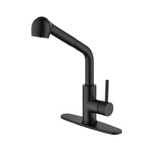 Matte Black Kitchen Faucets Stainless Steel with Pull Down Sprayer