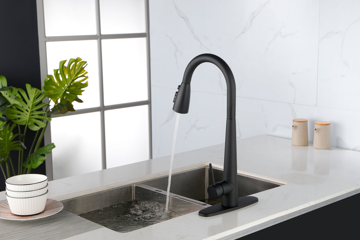 Matte Black Kitchen Faucets with Pull Down Sprayer