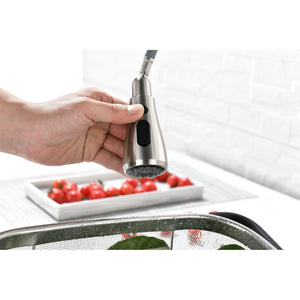 Single Handle Kitchen Sink Faucet with Pull Out Sprayer