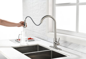 Single Handle High Arc Brushed Nickel Pull Out Kitchen Faucet