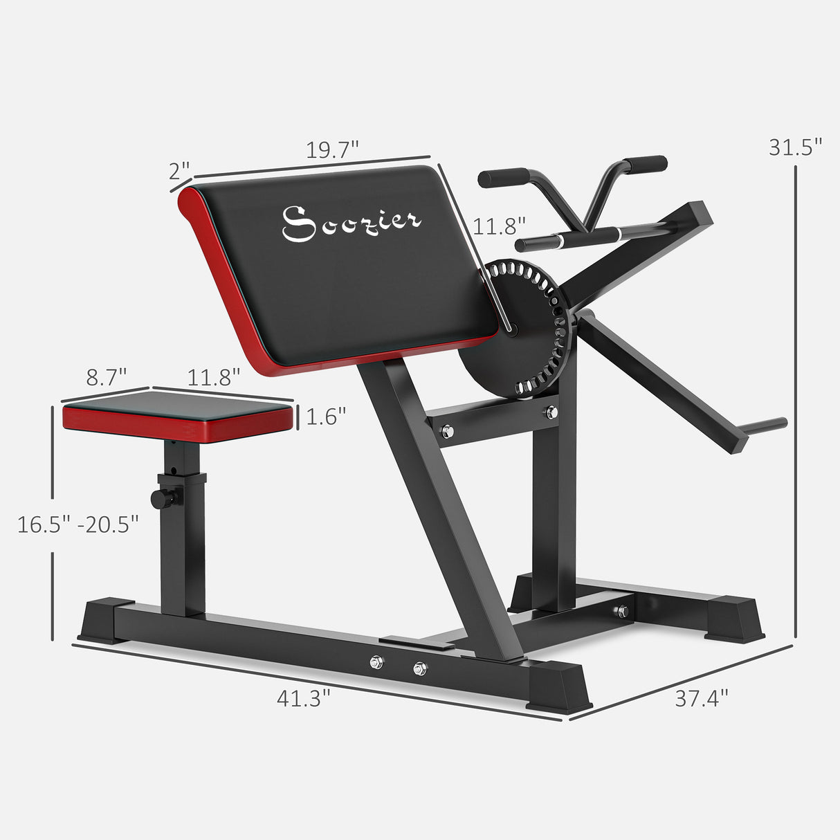 2-in-1 Bicep Curl & Tricep Extension Bench for Home Gym