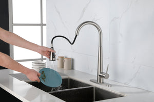 Kitchen Faucet with Pull Down Sprayer Brushed Nickel