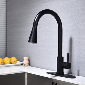 Kitchen Faucet with Pull Out Spraye