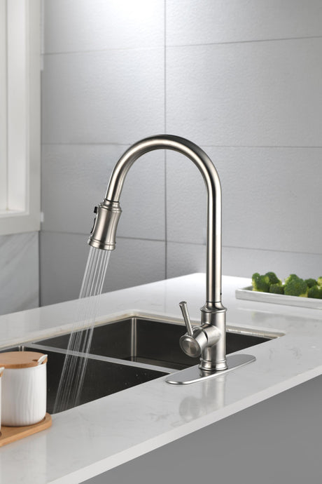 Single Handle High Arc Pull Out Kitchen Faucet Brushed Nickel