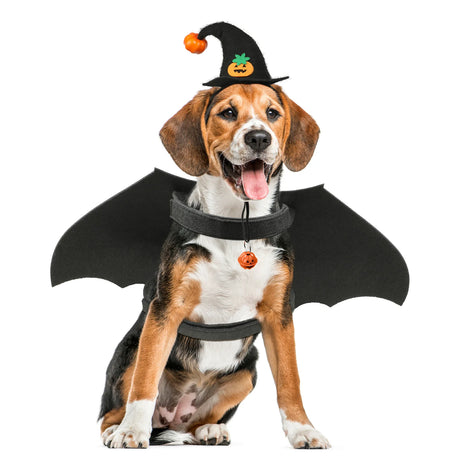 Pet Halloween Wings & Hat