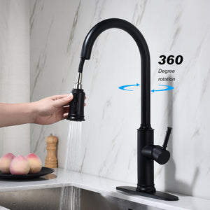 Double Handle Widespread Kitchen Faucet with Traditional Handles-Matte Black