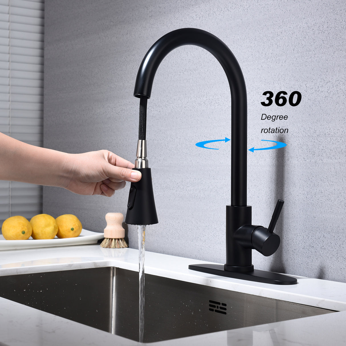 Kitchen Faucet with Pull Out Sprayer