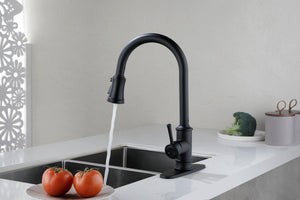 Single Handle High Arc Brushed Nickel Pull Out Kitchen Faucet Matte Black