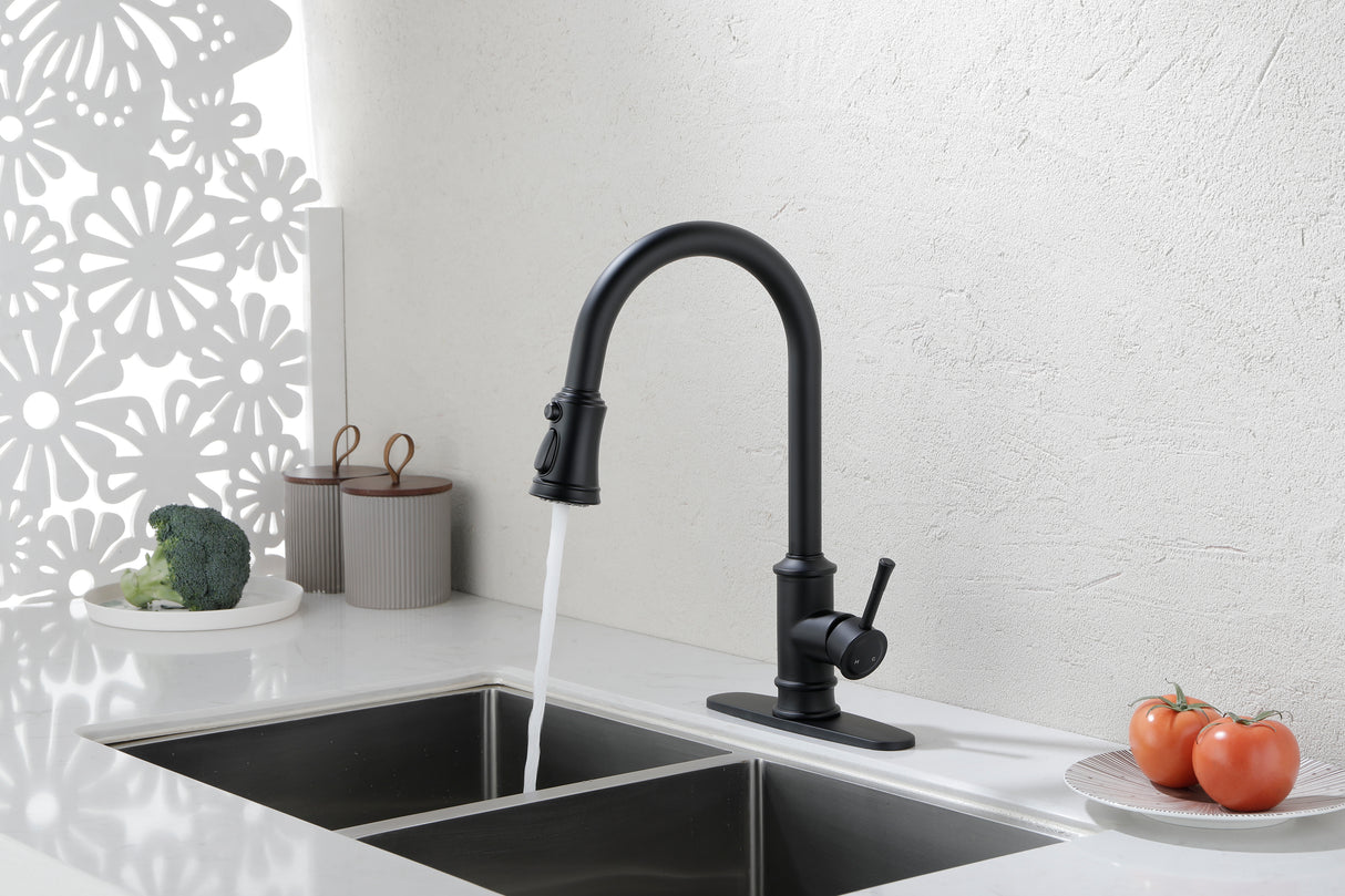 Single Handle High Arc Brushed Nickel Pull Out Kitchen Faucet Matte Black