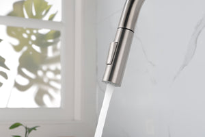 Kitchen Faucet with Pull Down Sprayer