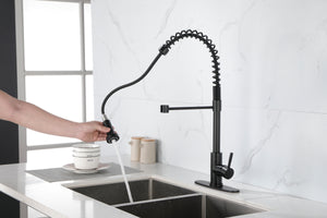 Spring Kitchen Faucets Matte Black with Pull Out Sprayer