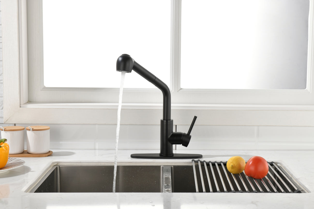 Matte Black Kitchen Faucets Stainless Steel with Pull Down Sprayer