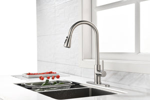 Single Handle High Arc Brushed Nickel Pull Out Kitchen Faucet