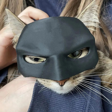 Bat Cat Avenger Mask for cats, perfect superhero-themed Halloween pet accessory, lightweight PLA mask designed for comfortable fit, available at Boltbuy.com