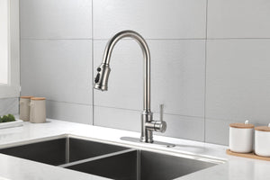 Single Handle High Arc Pull Out Kitchen Faucet Brushed Nickel