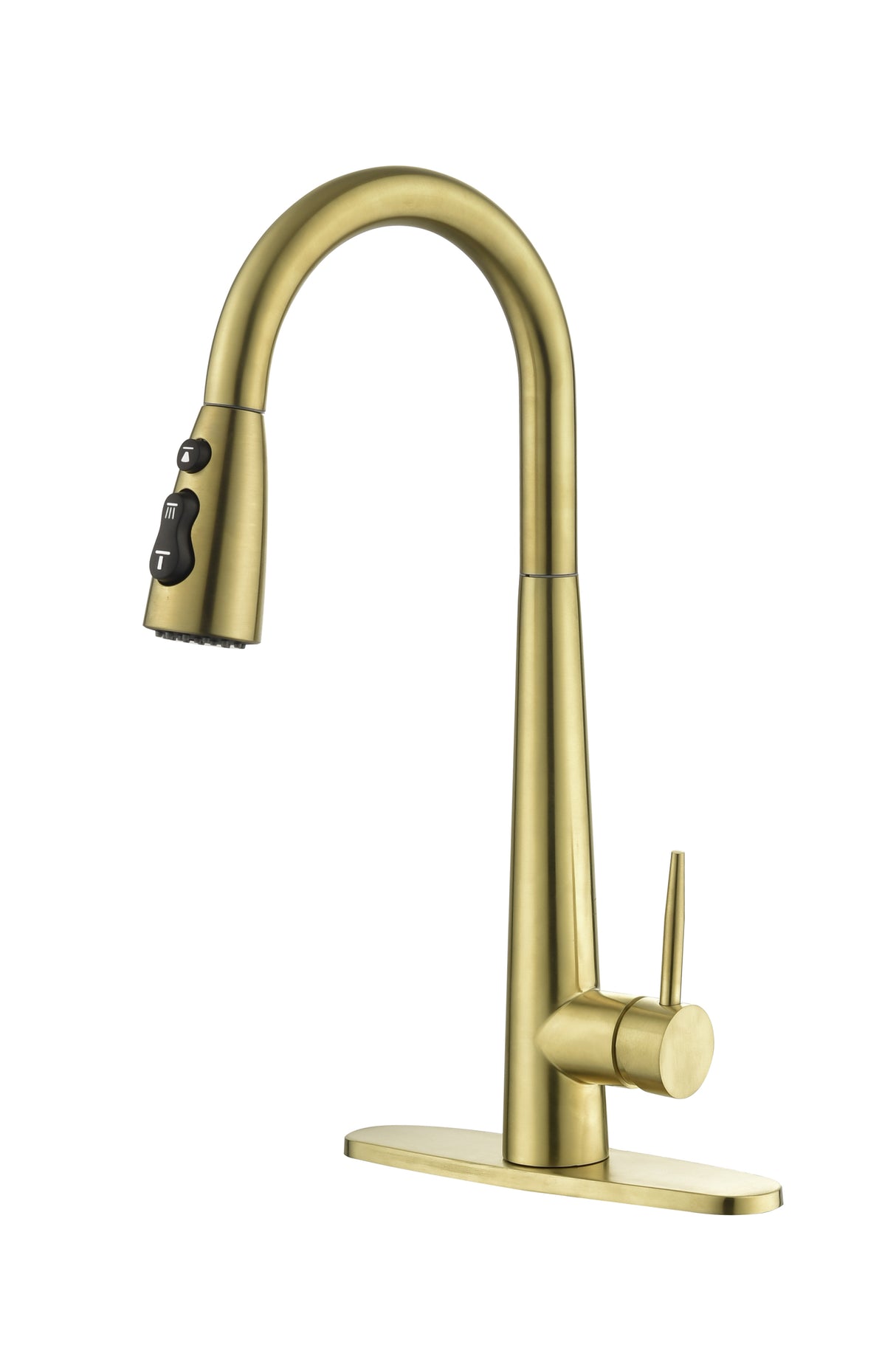 Gold Kitchen Faucets with Pull Down Sprayer