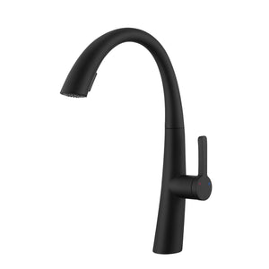 Stainless Steel Pull Out Kitchen Faucet