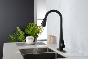 Matte Black Kitchen Faucets with Pull Down Sprayer