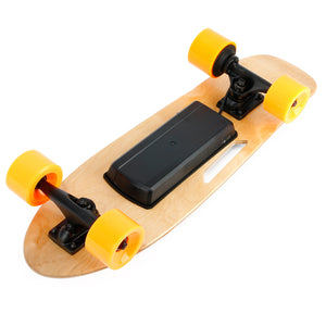 Small Electric Skateboard with Remote Control