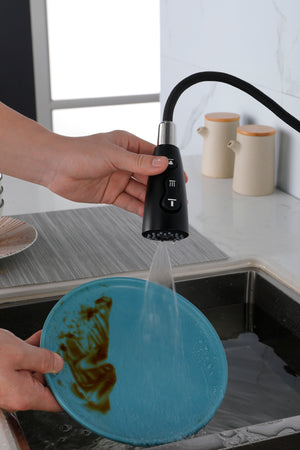 Matte Black Kitchen Faucets with Pull Down Sprayer