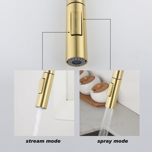 Touch Kitchen Faucet with Pull Down Sprayer-Gold