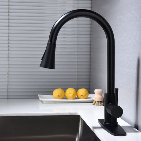 Kitchen Faucet with Pull Out Sprayer