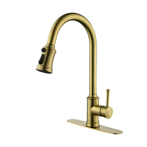 Single Handle High Arc Pull Out Kitchen Faucet Brushed Gold