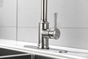 Single Handle High Arc Pull Out Kitchen Faucet Brushed Nickel