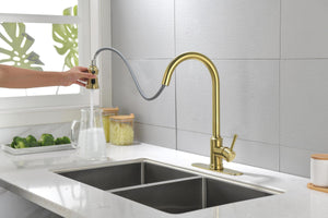 Single Handle High Arc Pull Out Kitchen Faucet Brushed Gold