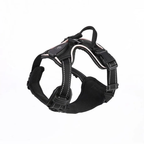 Rechargeable LED luminous pet harness for night walks, adjustable and comfortable for enhanced dog safety at BoltBuy.com