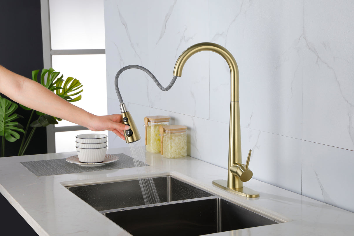 Gold Kitchen Faucets with Pull Down Sprayer