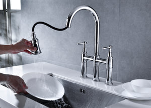 Bridge Kitchen Faucet with Pull-Down Sprayhead in Spot