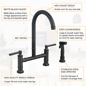 Double Handle Bridge Kitchen Faucet with Side Spray