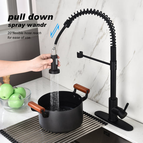 Kitchen Faucet with Pull Out Spraye