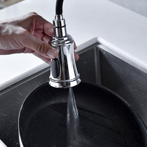 Bridge Kitchen Faucet with Pull-Down Sprayhead in Spot